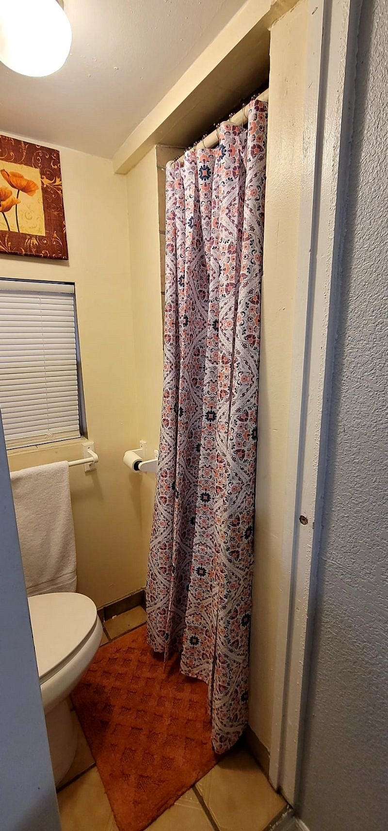Furnished Finder property 380264_1 photo 7