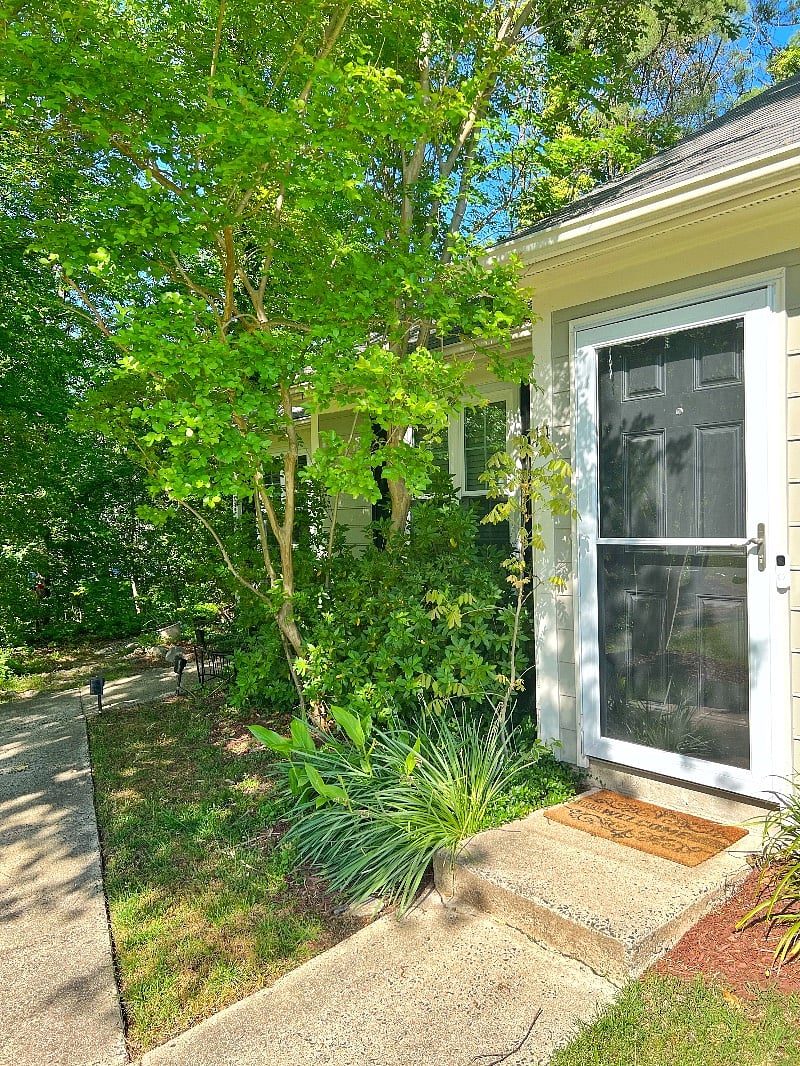 Furnished Finder property 380307_1 photo 10