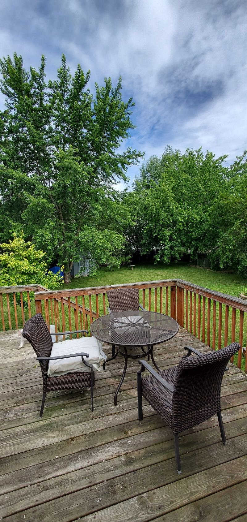 Furnished Finder property 380330_1 photo 6