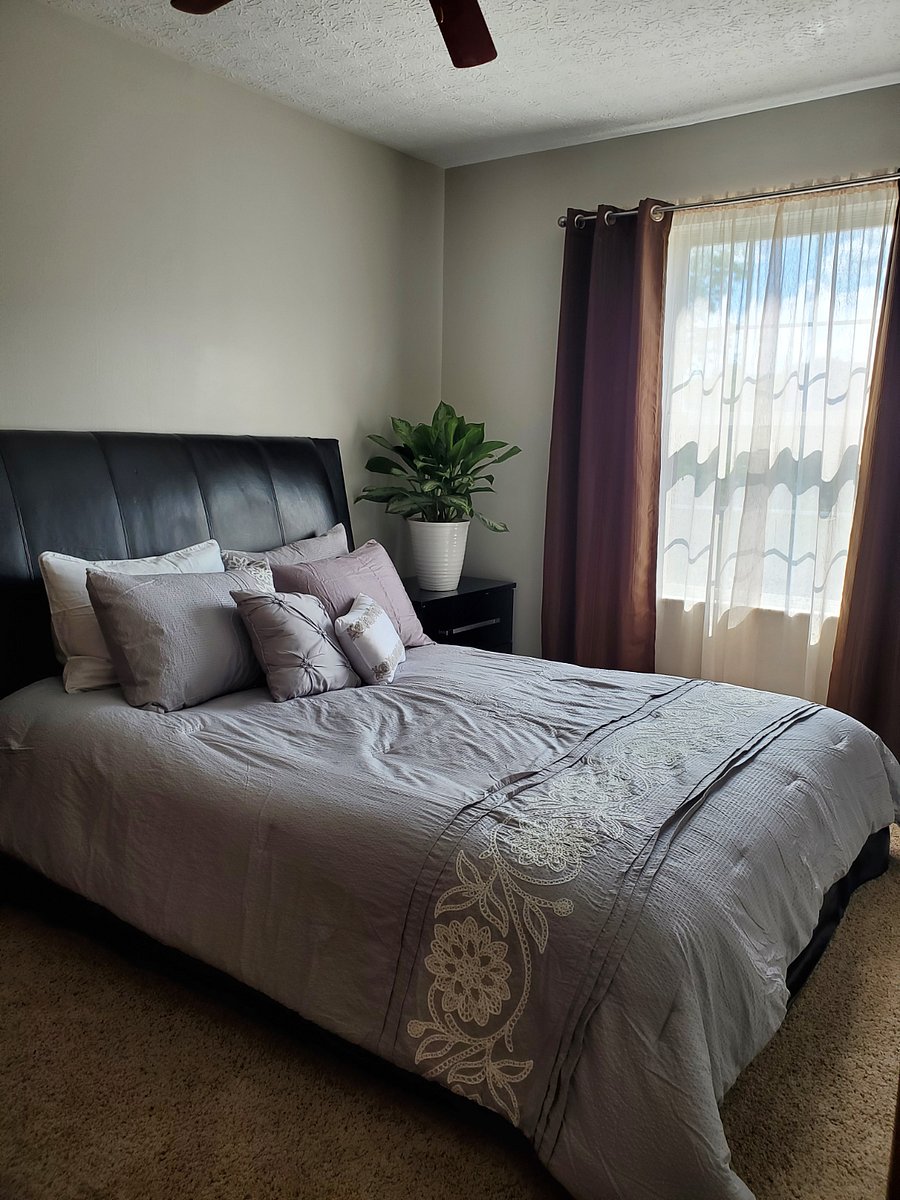 Furnished Finder property 380330_1 photo 8