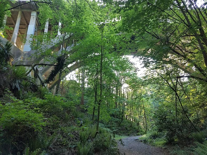 Puget Creek bridge, spans Puget park. this trail leads to Ruston Way.