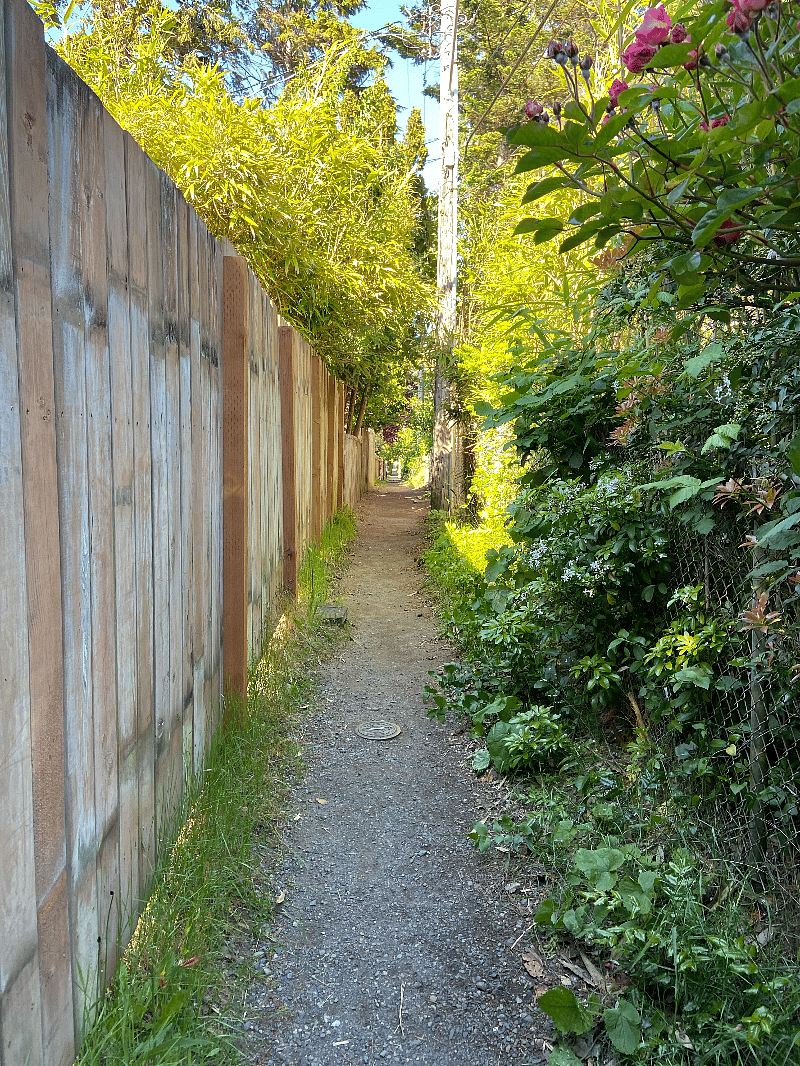 neighborhood trail