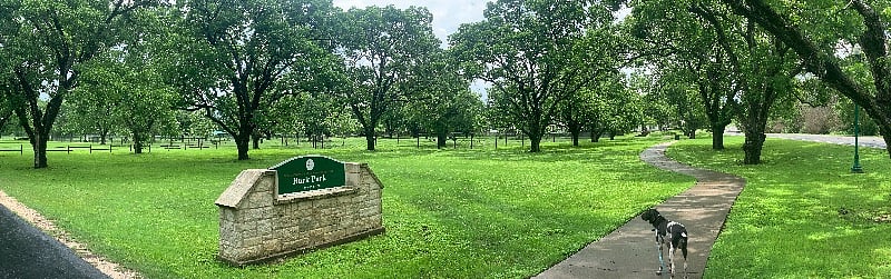 Extremely large dog park w/ walking trail for humans right around the corner.