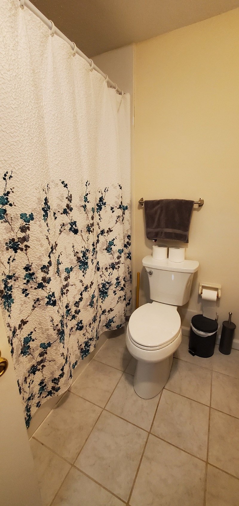 Furnished Finder property 380822_1 photo 6