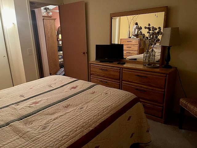 Guest bedroom - queen bed
