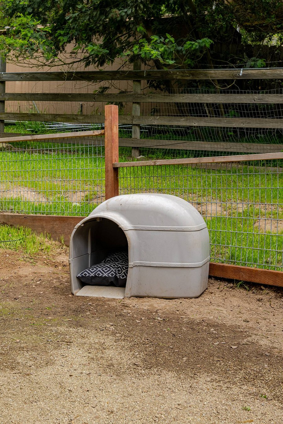 Your four legged travel companion will enjoy deluxe accommodations while staying at the Trailer in the Oaks.