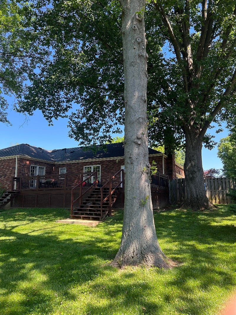 Furnished Finder property 380993_1 photo 3