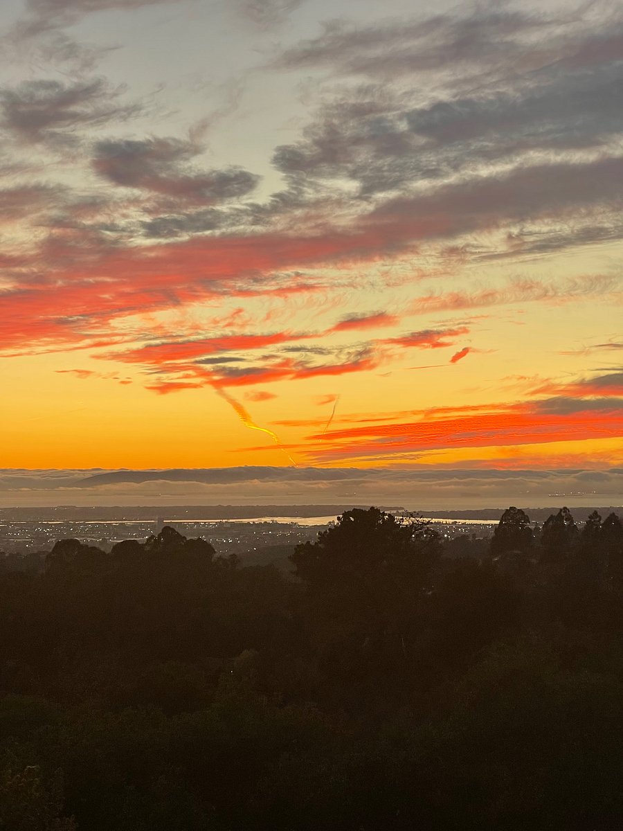View from the house