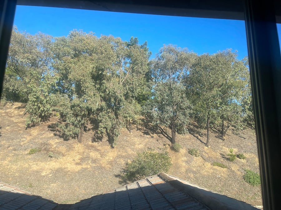 Hillside View from 2nd bedroom window 
