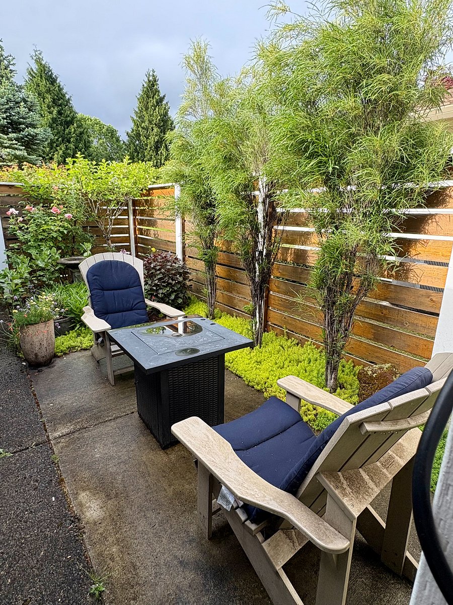 Furnished Finder property 381261_1 photo 11