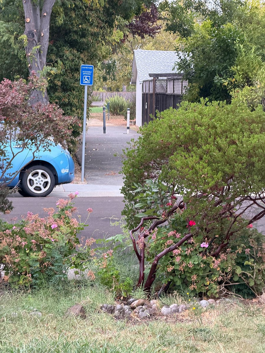 entrance to dog park directly across the street