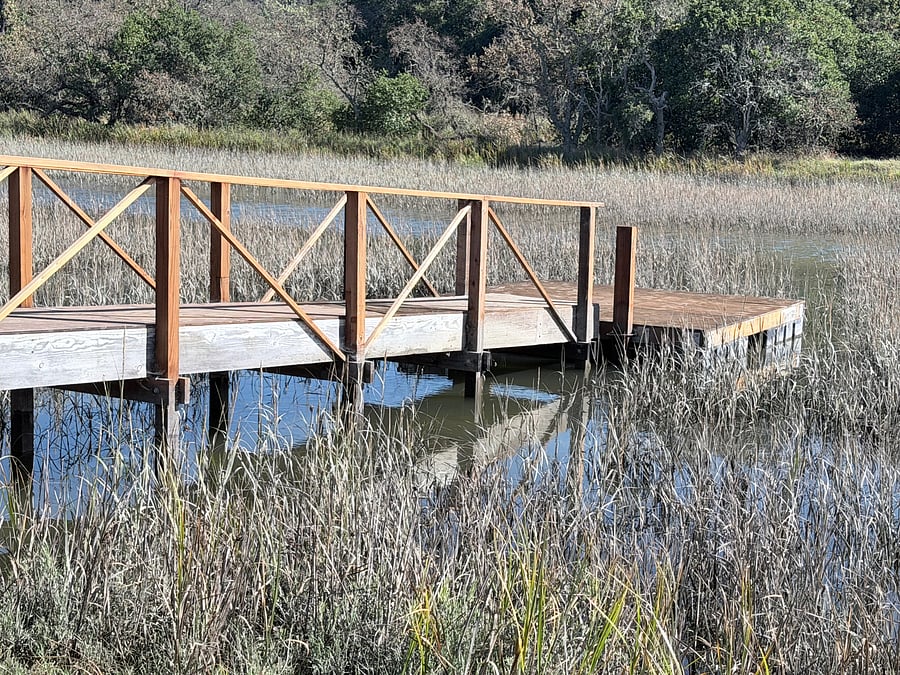 wharf and floating dock