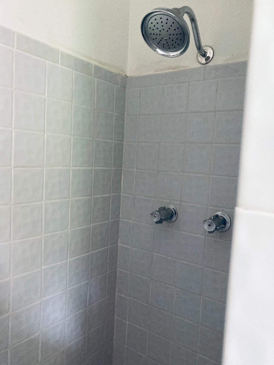 Ensuite bathroom shower