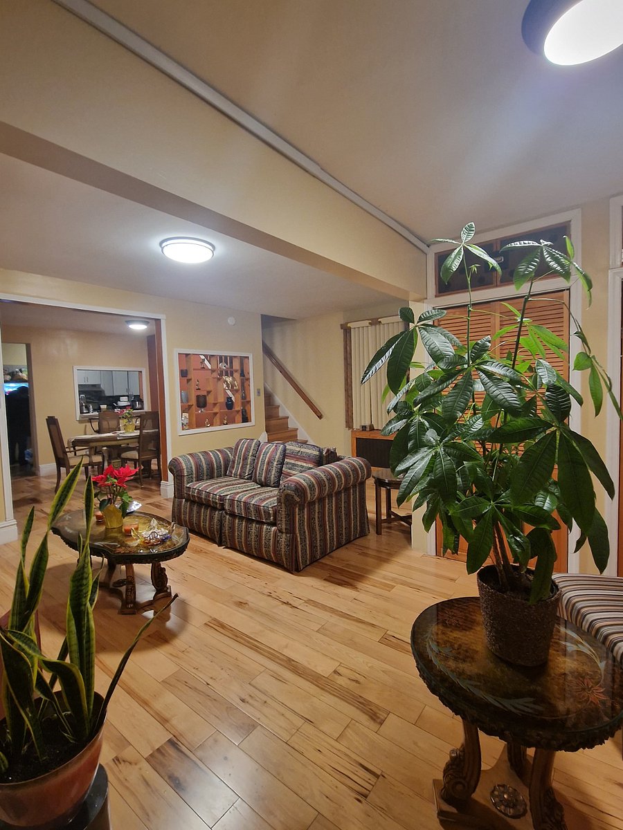 Furnished Finder property 381536_1 photo 12