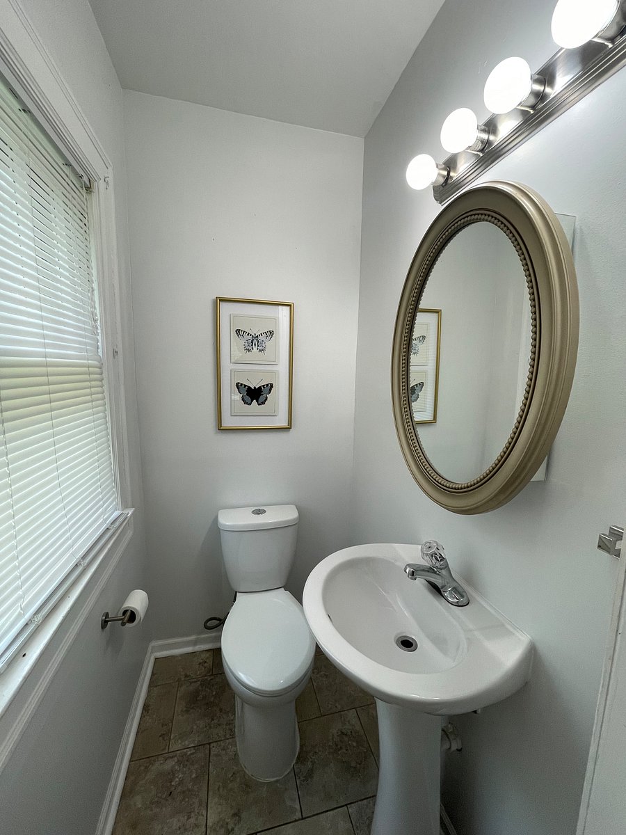 Furnished Finder property 381623_2 photo 13