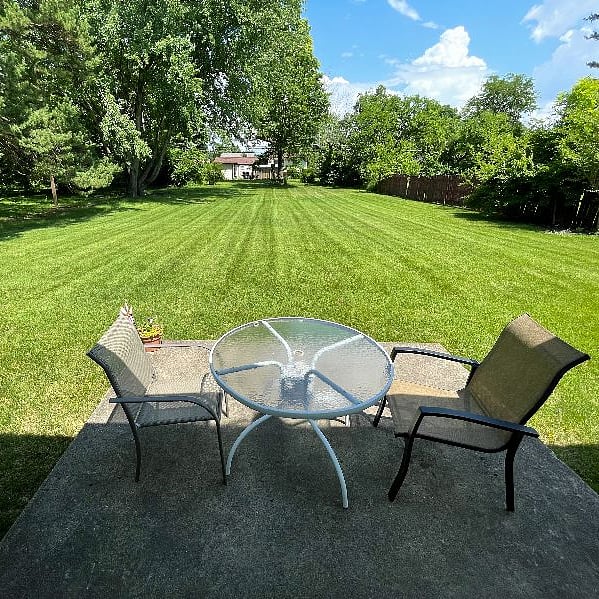 The backyard with extra soft grass