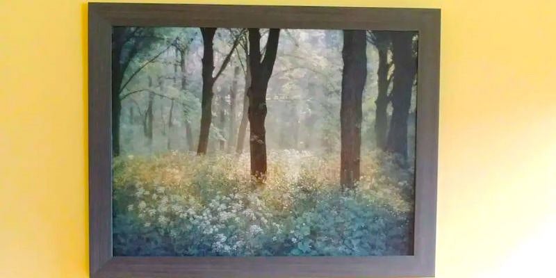Relaxing nature pictures throughout house