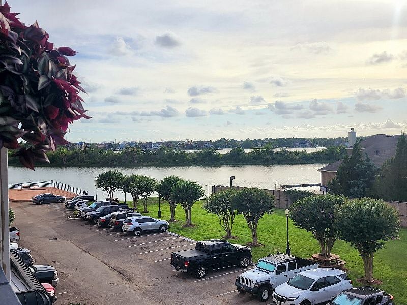 View from the patio.