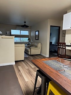 Furnished Finder property 382149_1 photo 8