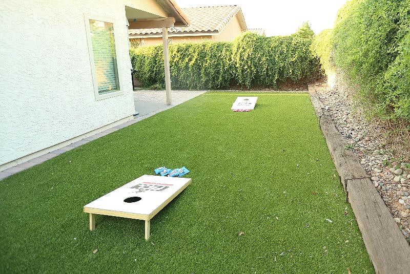 Q1: Backyard