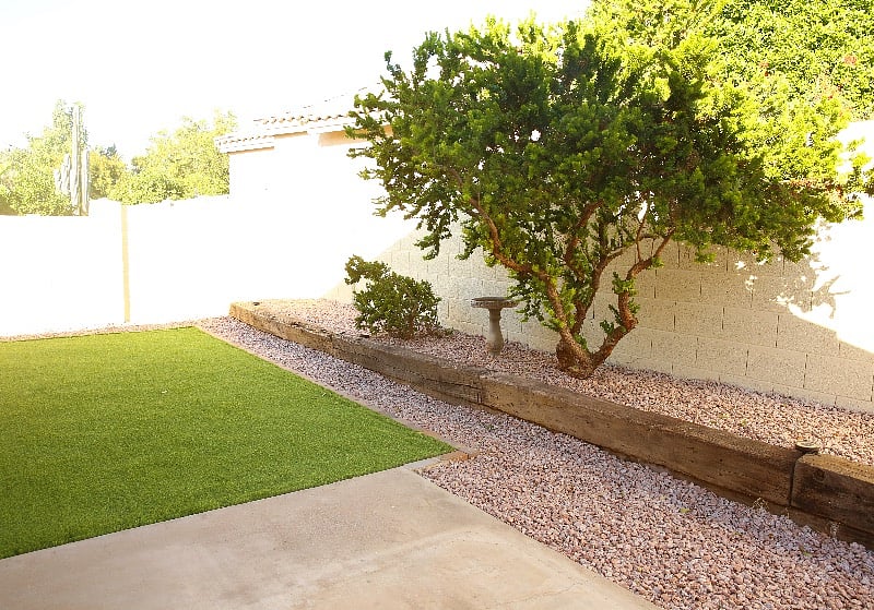 Q2: Backyard