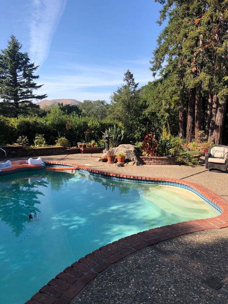 Sunny backyard pool