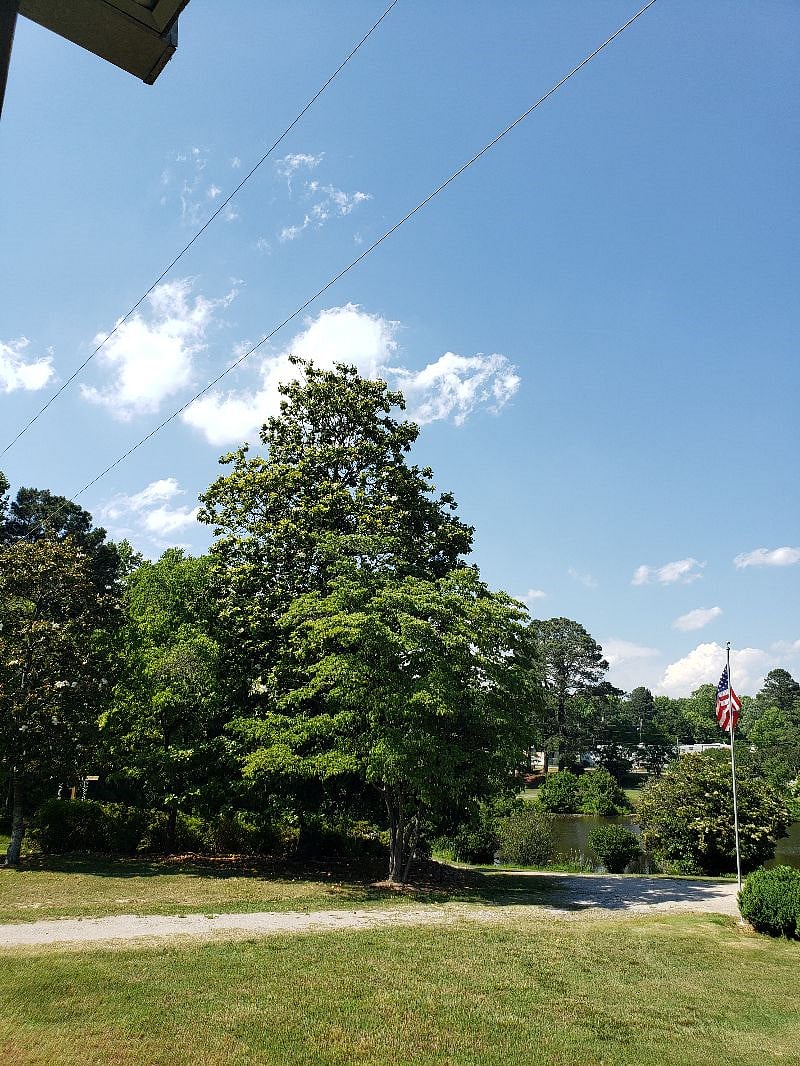 Grounds