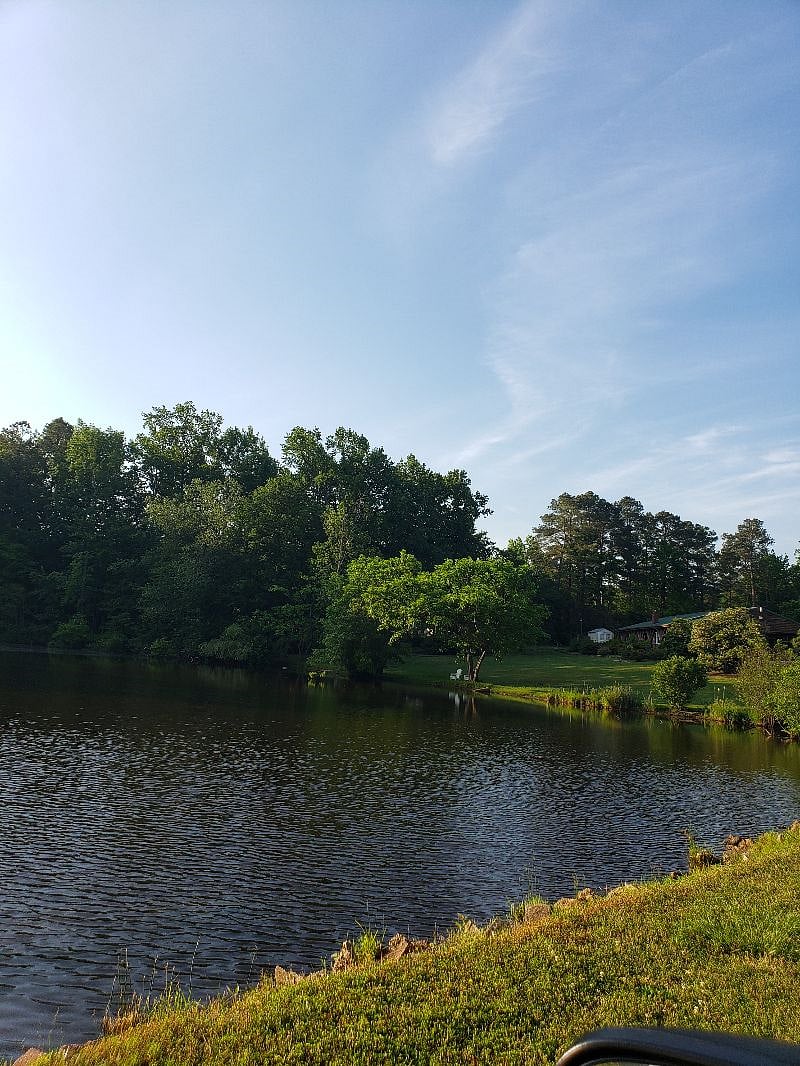 Pond 