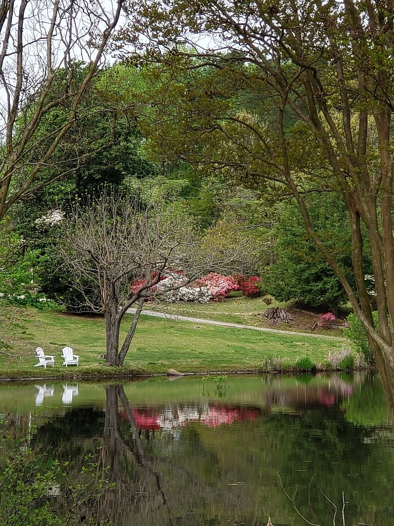 Grounds