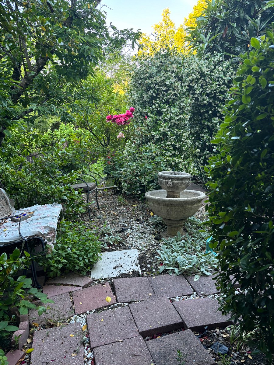 Furnished Finder property 382392_1 photo 16