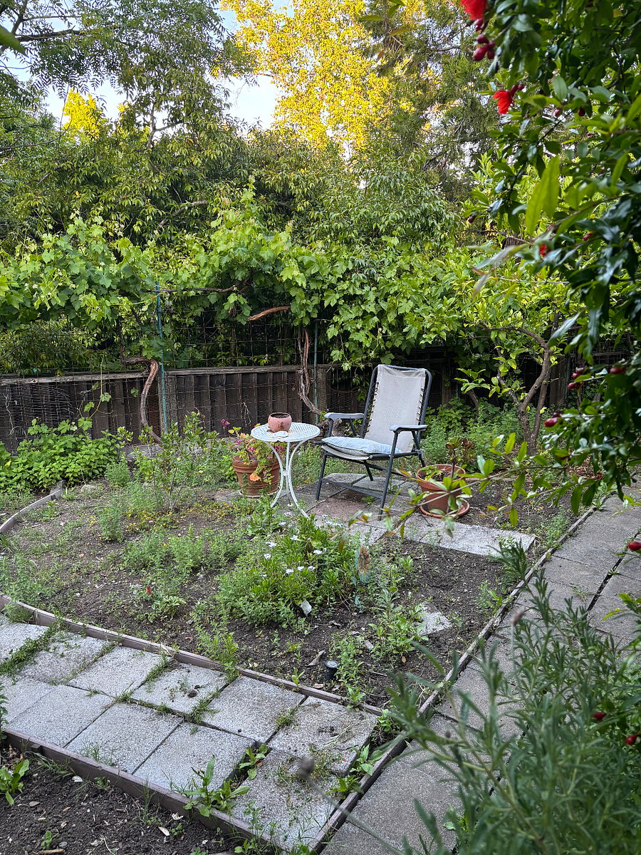 Furnished Finder property 382392_1 photo 18