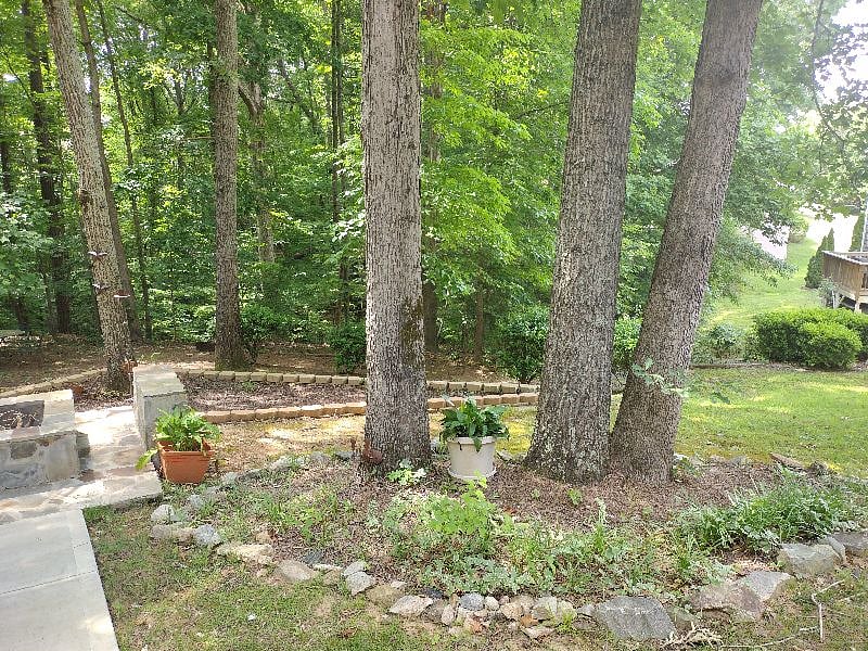 Furnished Finder property 382449_1 photo 4