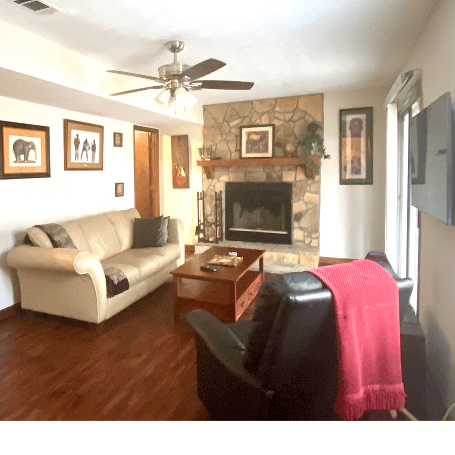 Den downstairs with fireplace