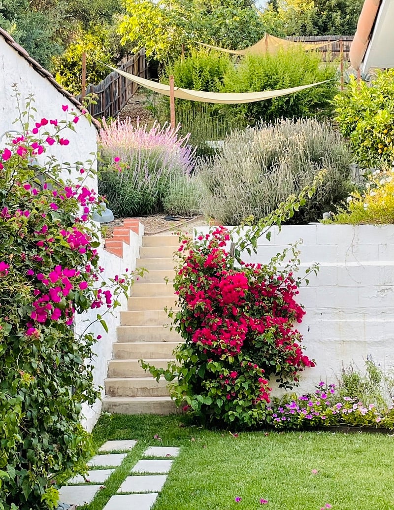 Huge back yard with terraces where you can sit to enjoy the view at the end of a long day!