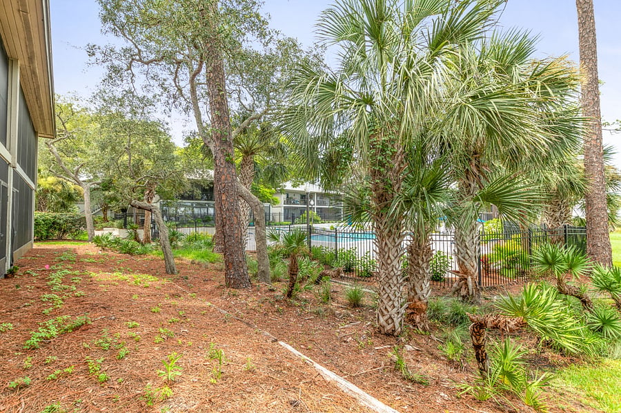 Furnished Finder property 382551_1 photo 4