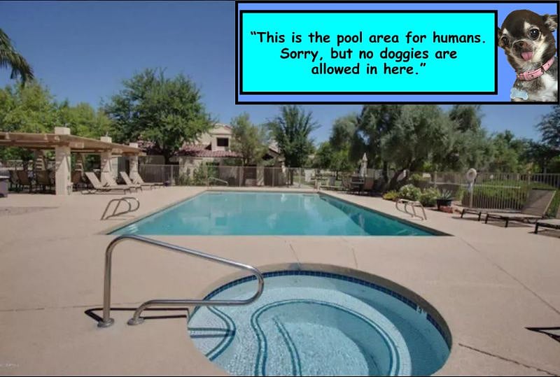 Furnished Finder property 382564_1 photo 14