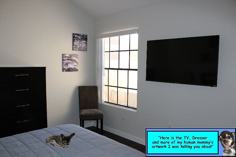 Furnished Finder property 382564_1 photo 5