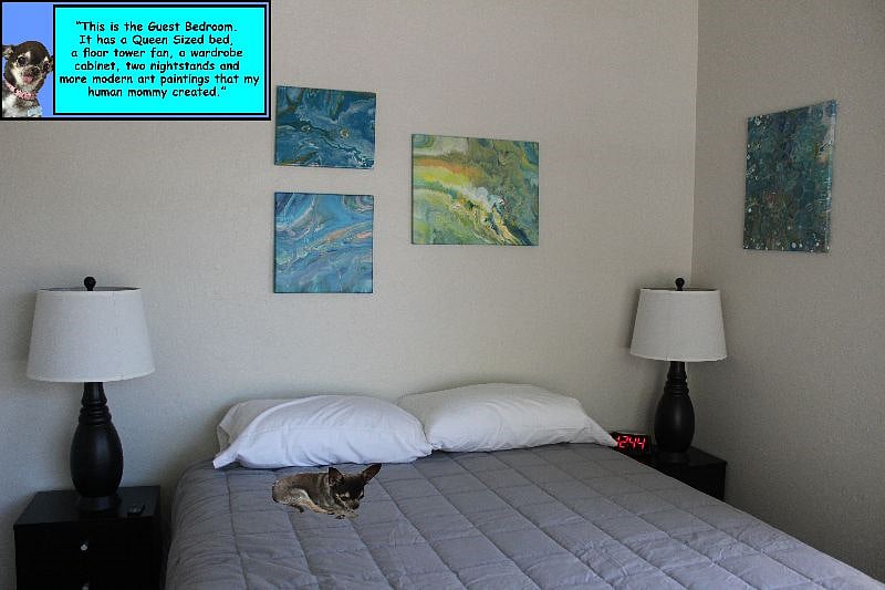 Furnished Finder property 382564_1 photo 6