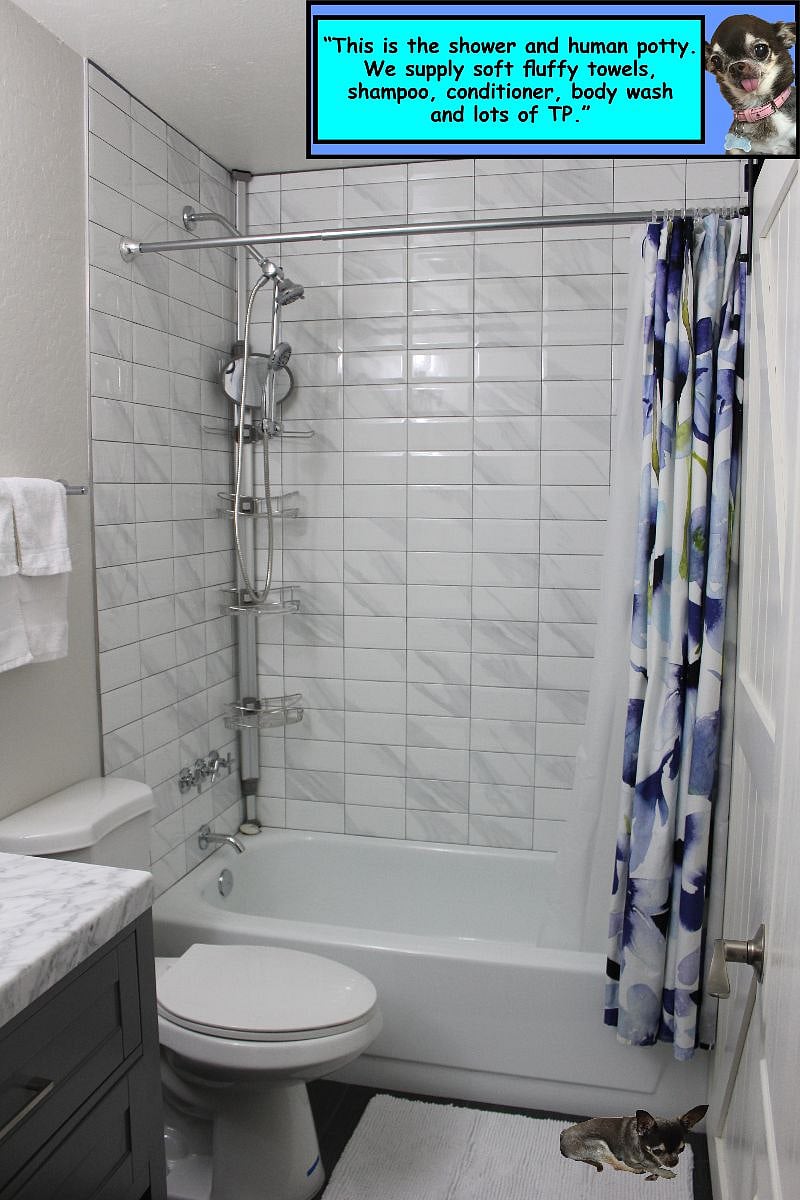 Furnished Finder property 382564_1 photo 11