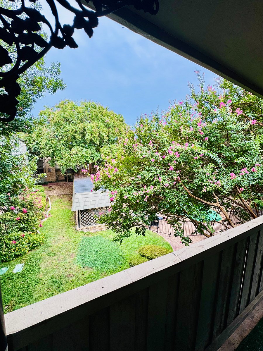 Furnished Finder property 382640_1 photo 12