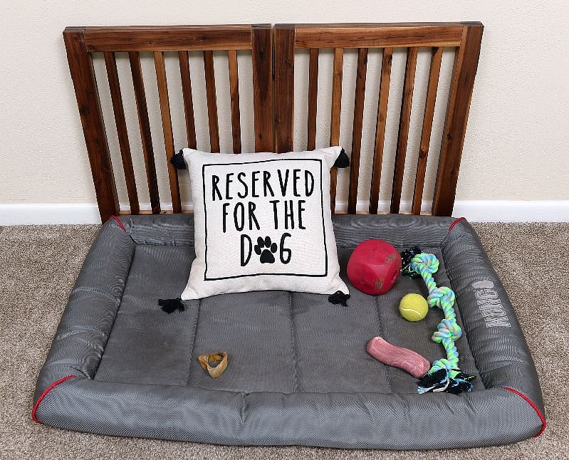 Doggie Reservation
