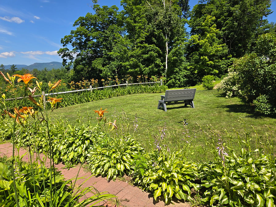 Yard off of Living Room.