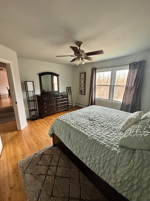 Furnished Finder property 382842_1 photo 13