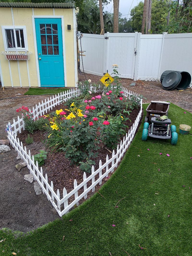 Backyard Rose Garden