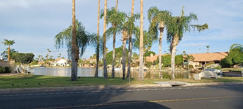 Lake view
Well manicured neighborhood
Walk your dog
Leash required