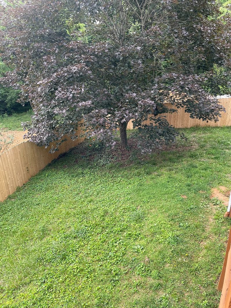 Furnished Finder property 383310_1 photo 3