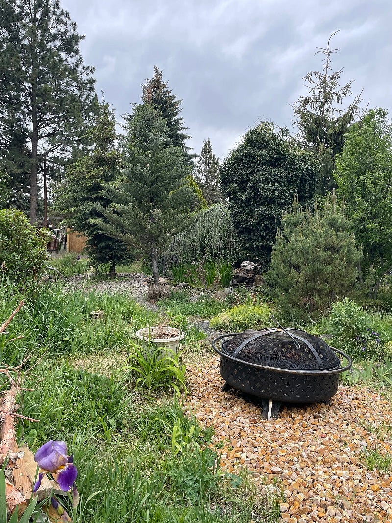 Large wood burning fire pit. (common space)
