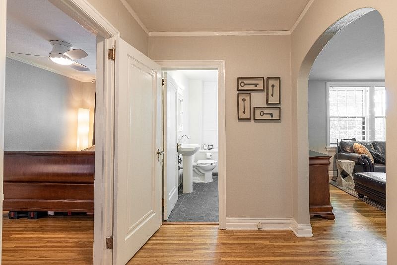 Furnished Finder property 383573_1 photo 6