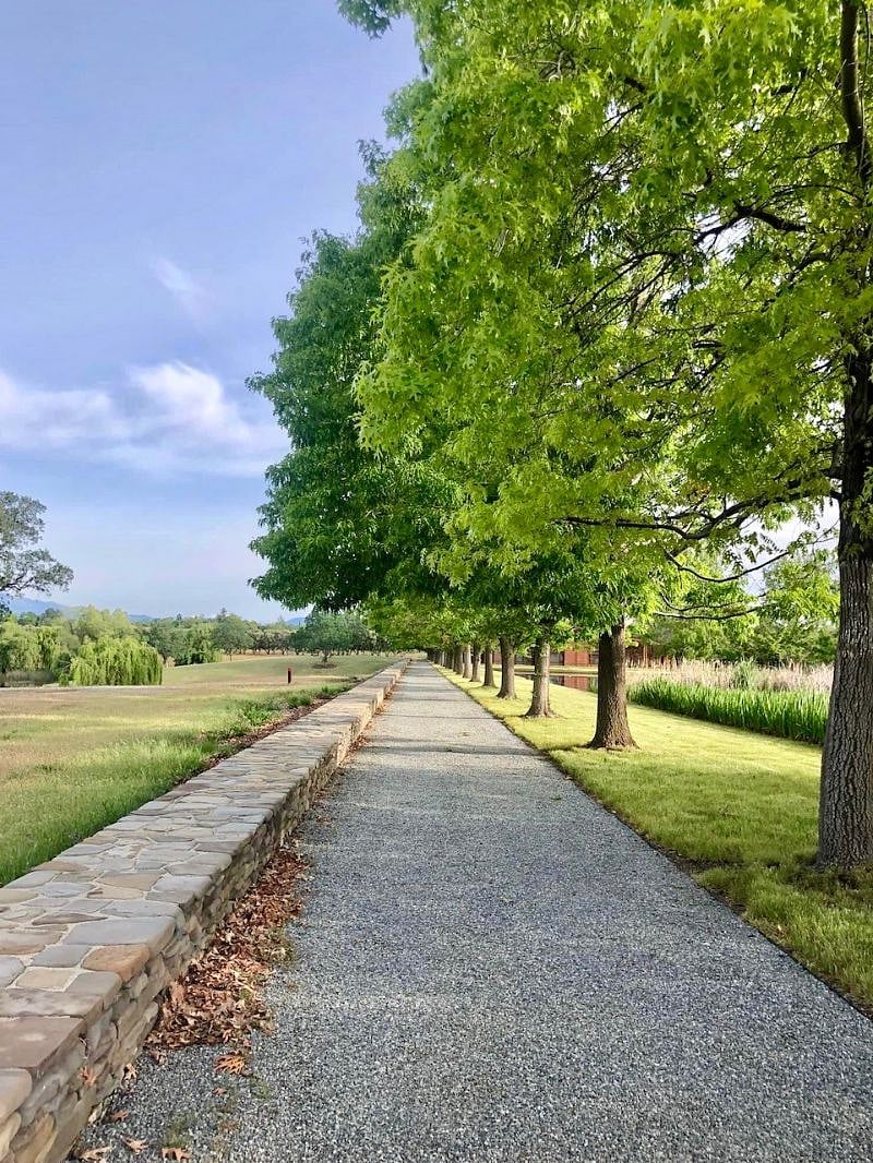 Lema Ranch / McConnell Foundation walking trails