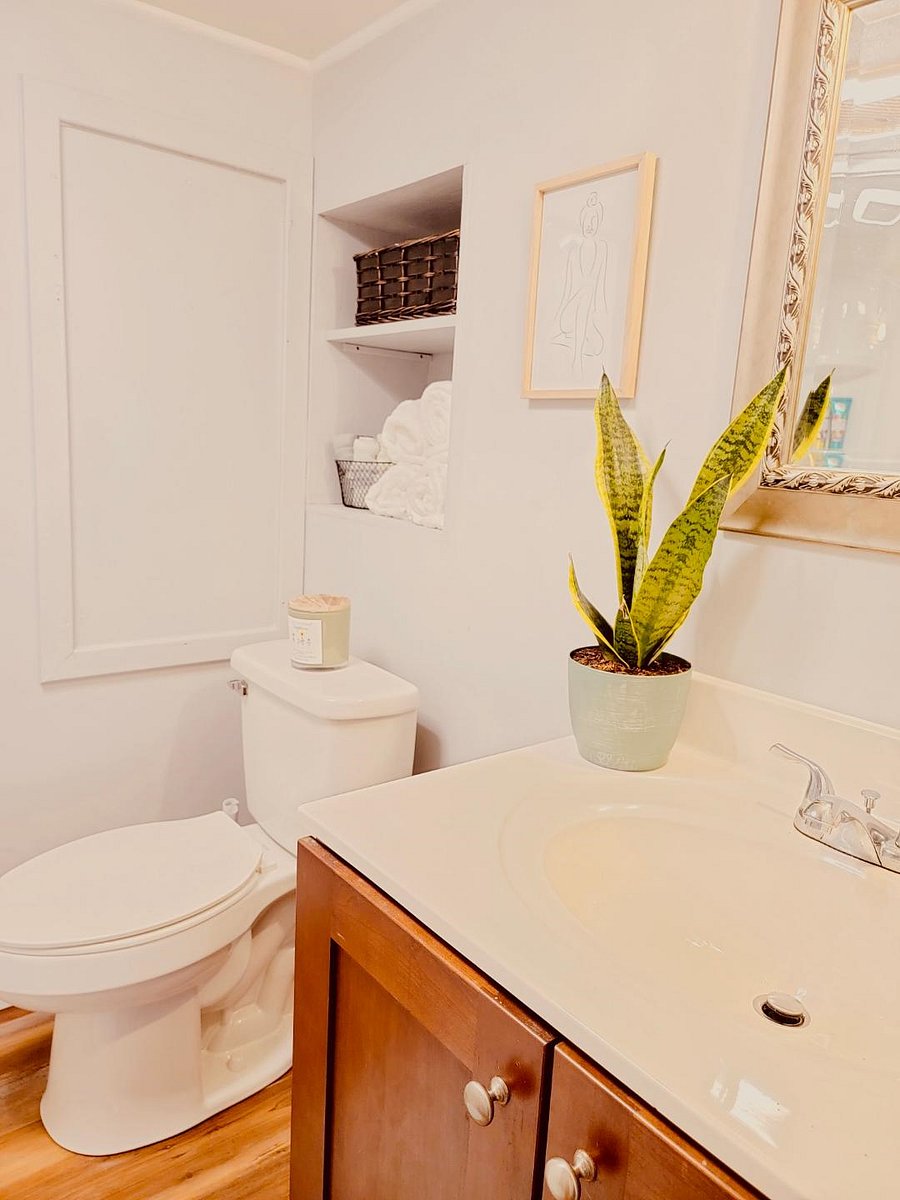 Furnished Finder property 383648_2 photo 6